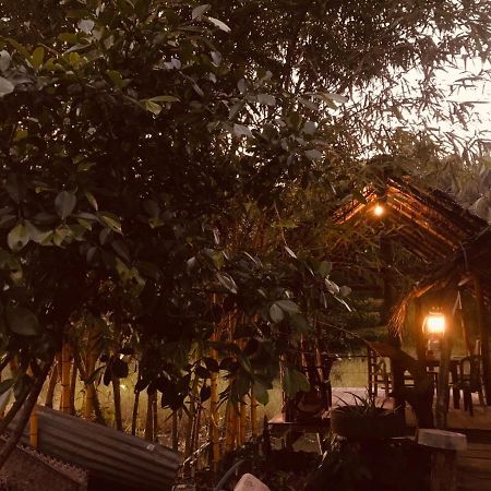 Aliya Riverside & Safari Resort ウダワラウェ エクステリア 写真