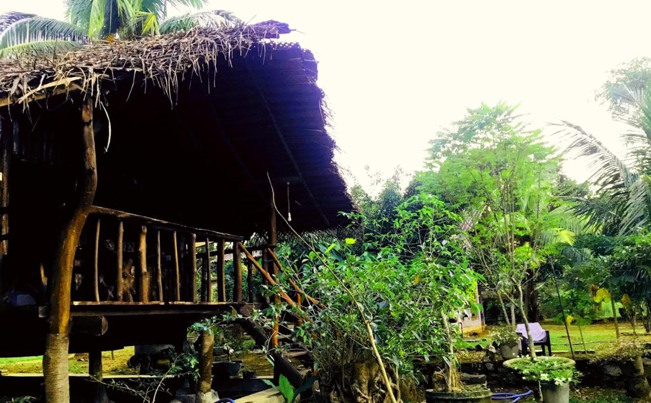 Aliya Riverside & Safari Resort ウダワラウェ エクステリア 写真