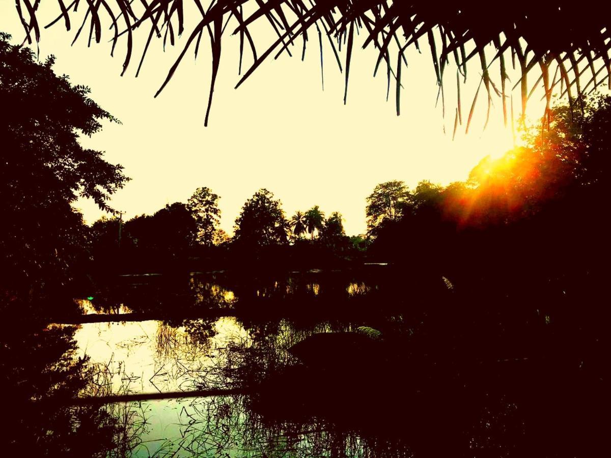 Aliya Riverside & Safari Resort ウダワラウェ エクステリア 写真