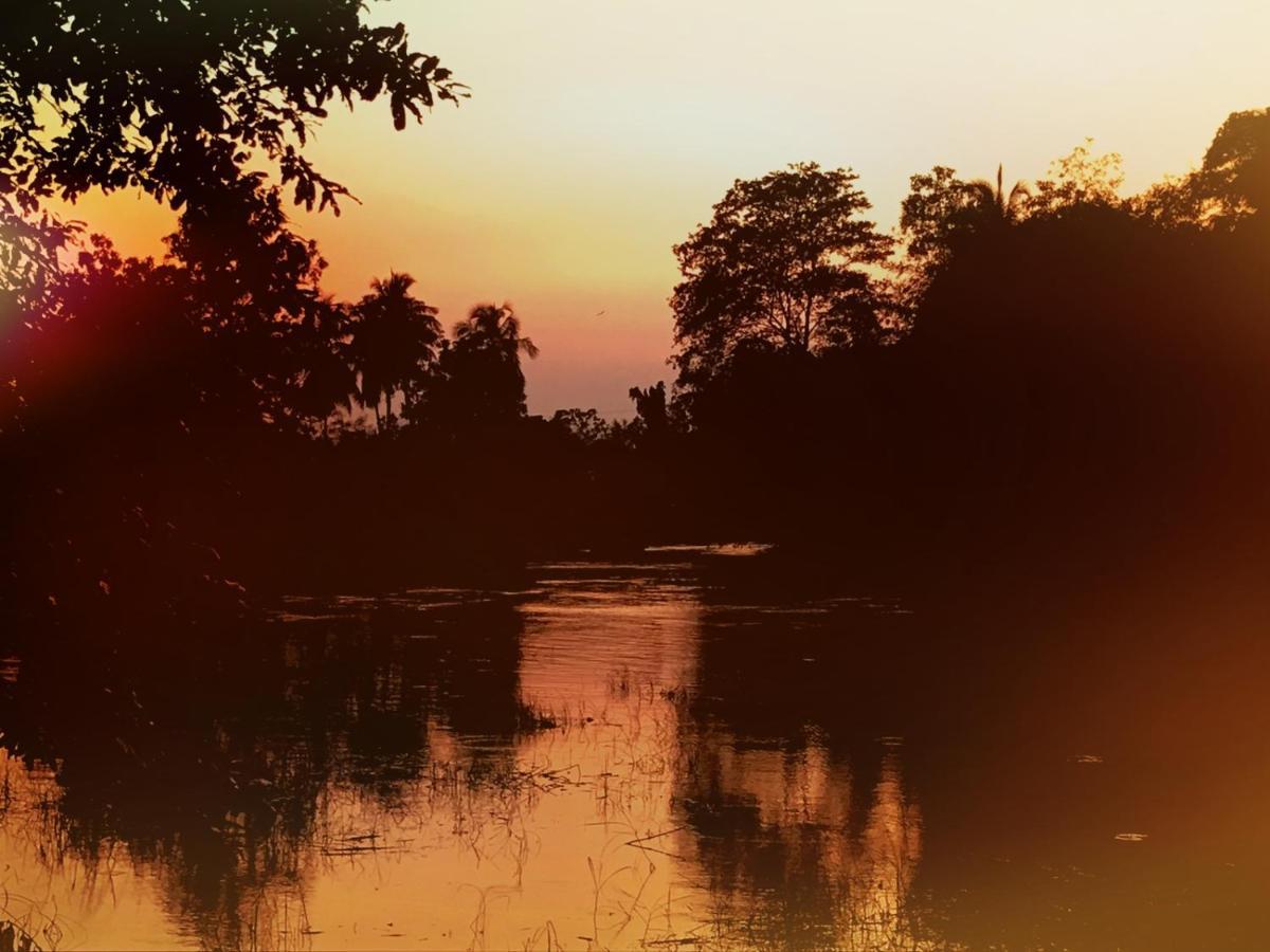 Aliya Riverside & Safari Resort ウダワラウェ エクステリア 写真