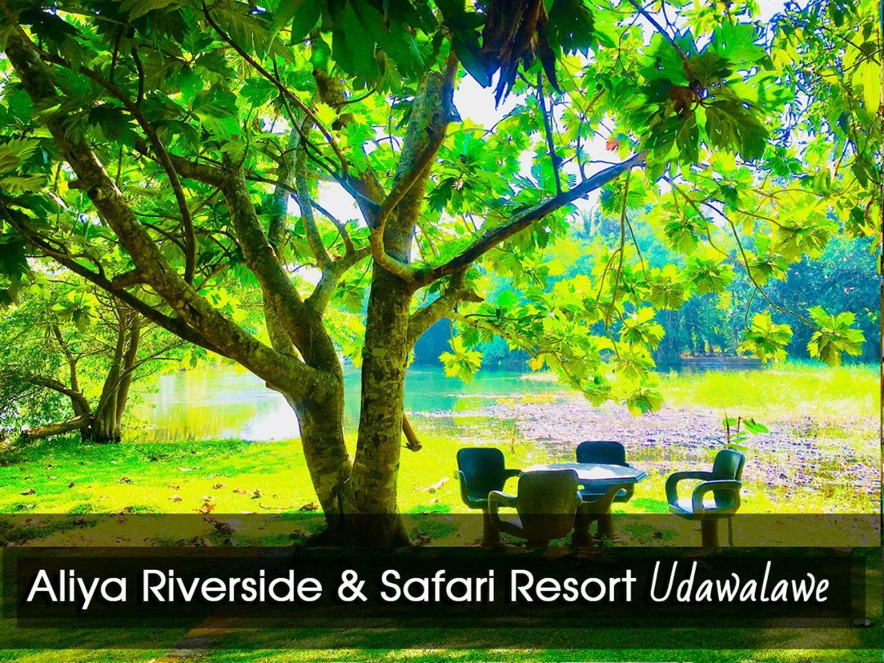 Aliya Riverside & Safari Resort ウダワラウェ エクステリア 写真