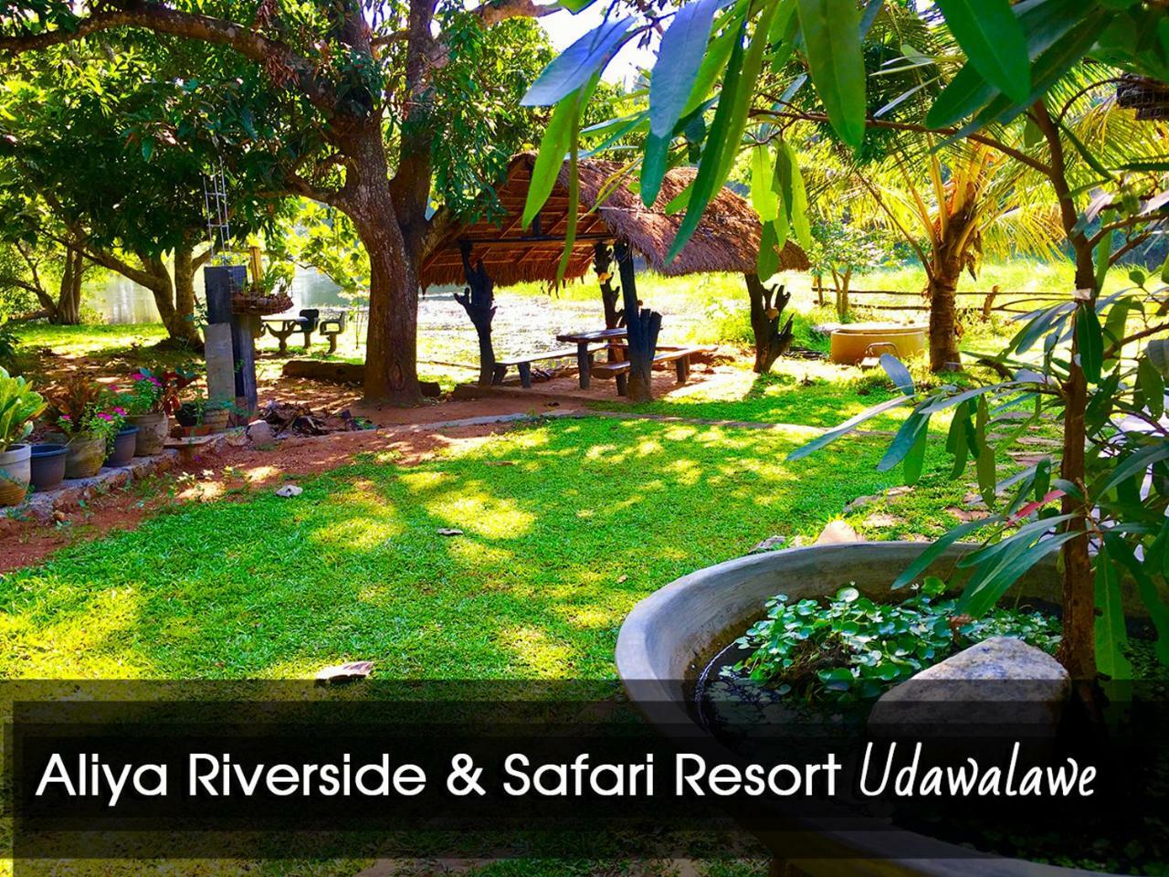 Aliya Riverside & Safari Resort ウダワラウェ エクステリア 写真