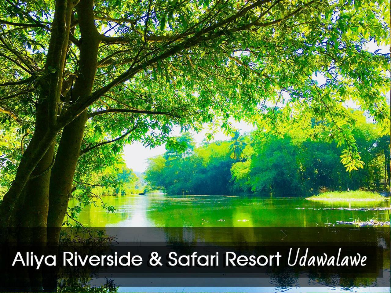 Aliya Riverside & Safari Resort ウダワラウェ エクステリア 写真