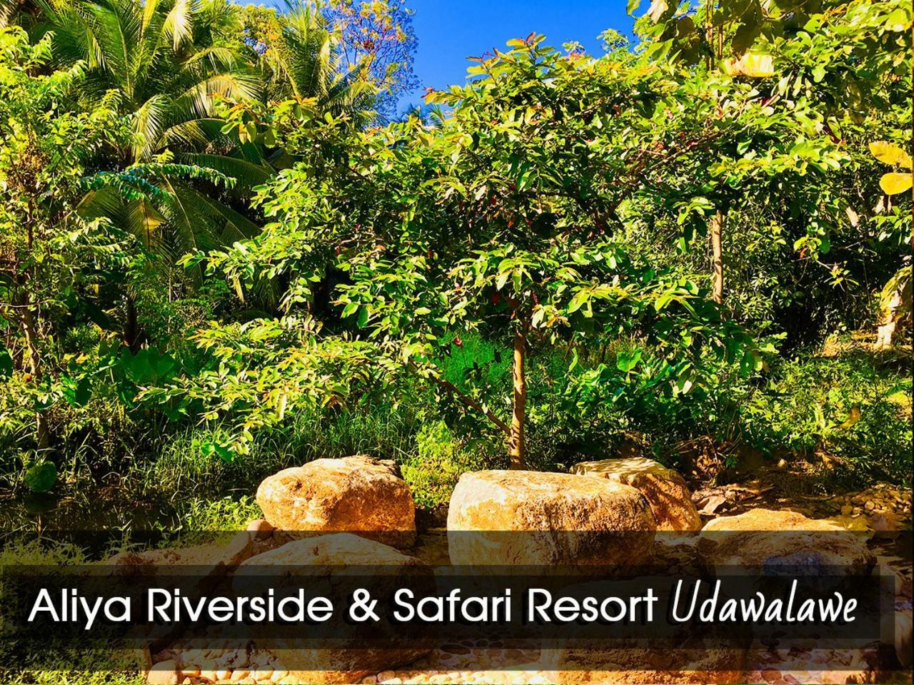 Aliya Riverside & Safari Resort ウダワラウェ エクステリア 写真