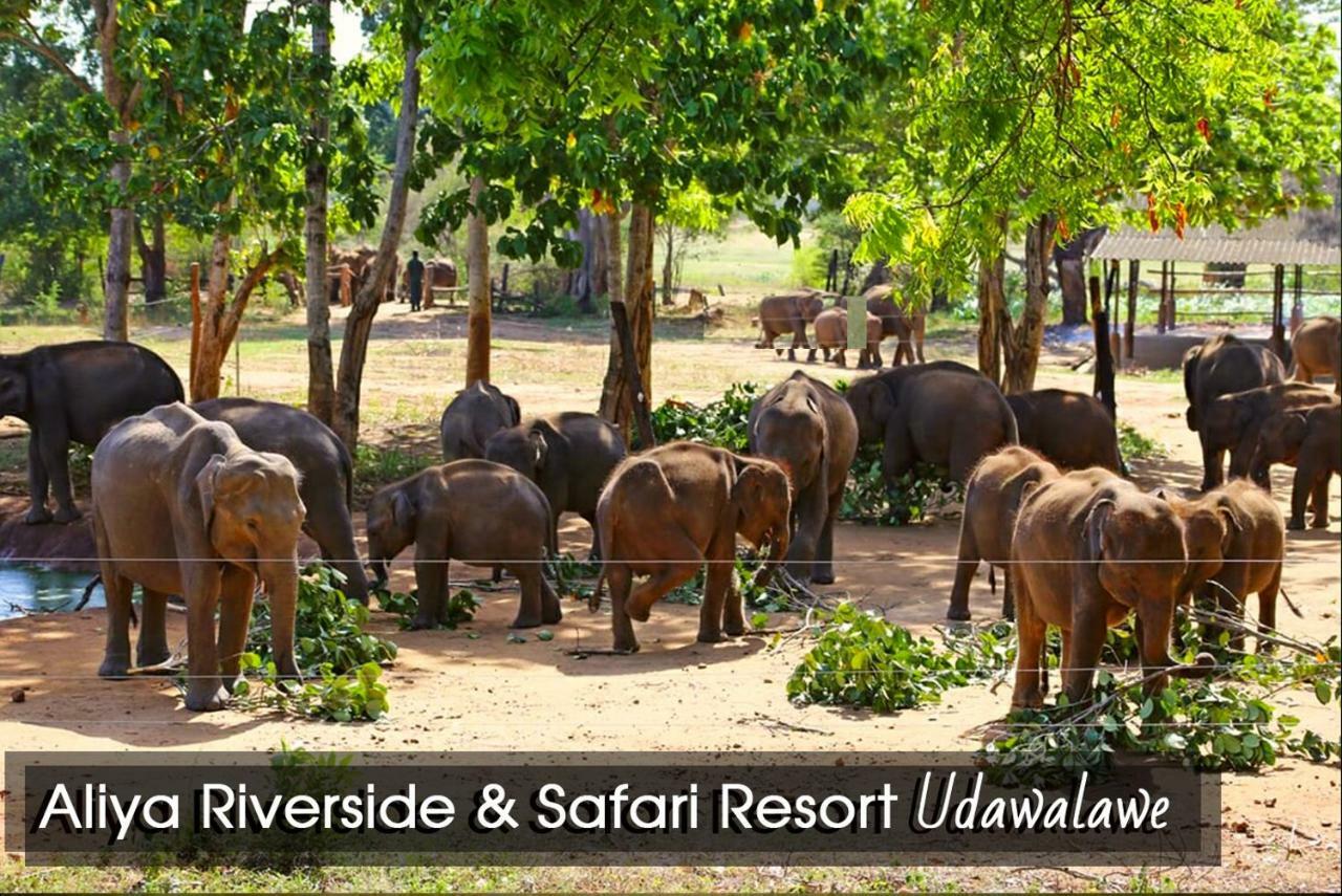 Aliya Riverside & Safari Resort ウダワラウェ エクステリア 写真