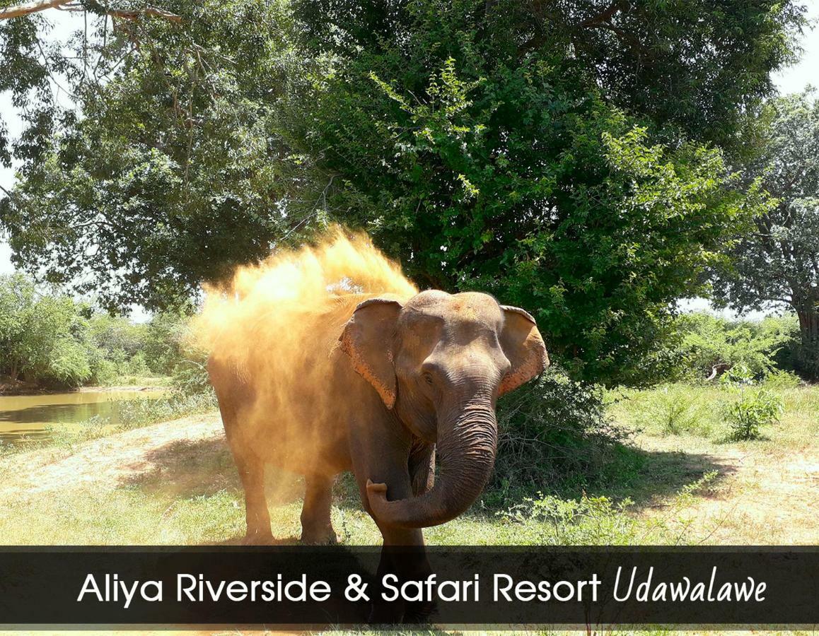 Aliya Riverside & Safari Resort ウダワラウェ エクステリア 写真