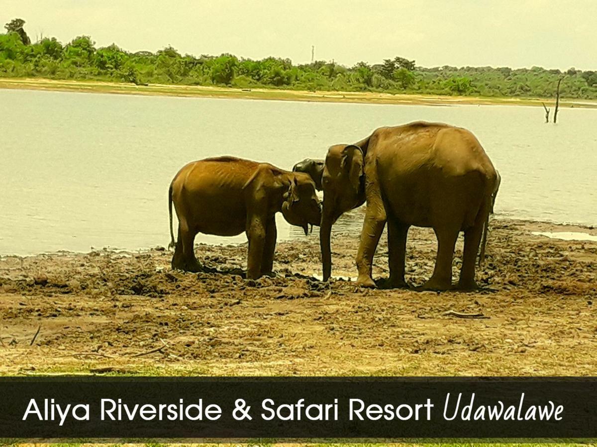 Aliya Riverside & Safari Resort ウダワラウェ エクステリア 写真