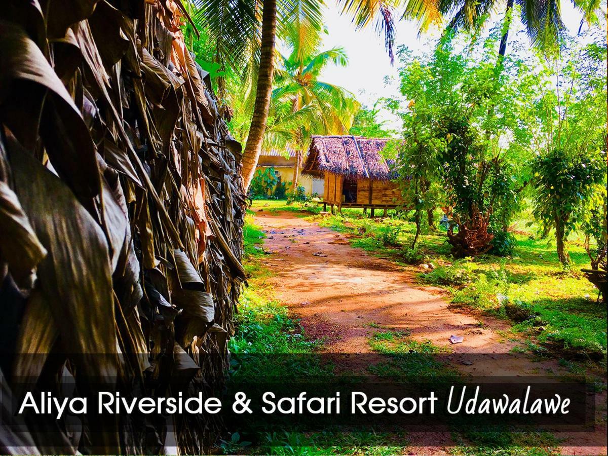 Aliya Riverside & Safari Resort ウダワラウェ エクステリア 写真