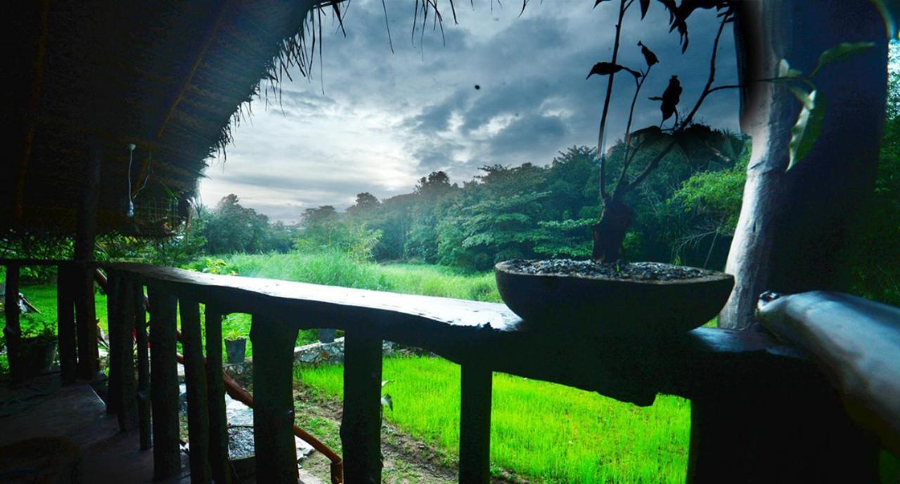 Aliya Riverside & Safari Resort ウダワラウェ エクステリア 写真