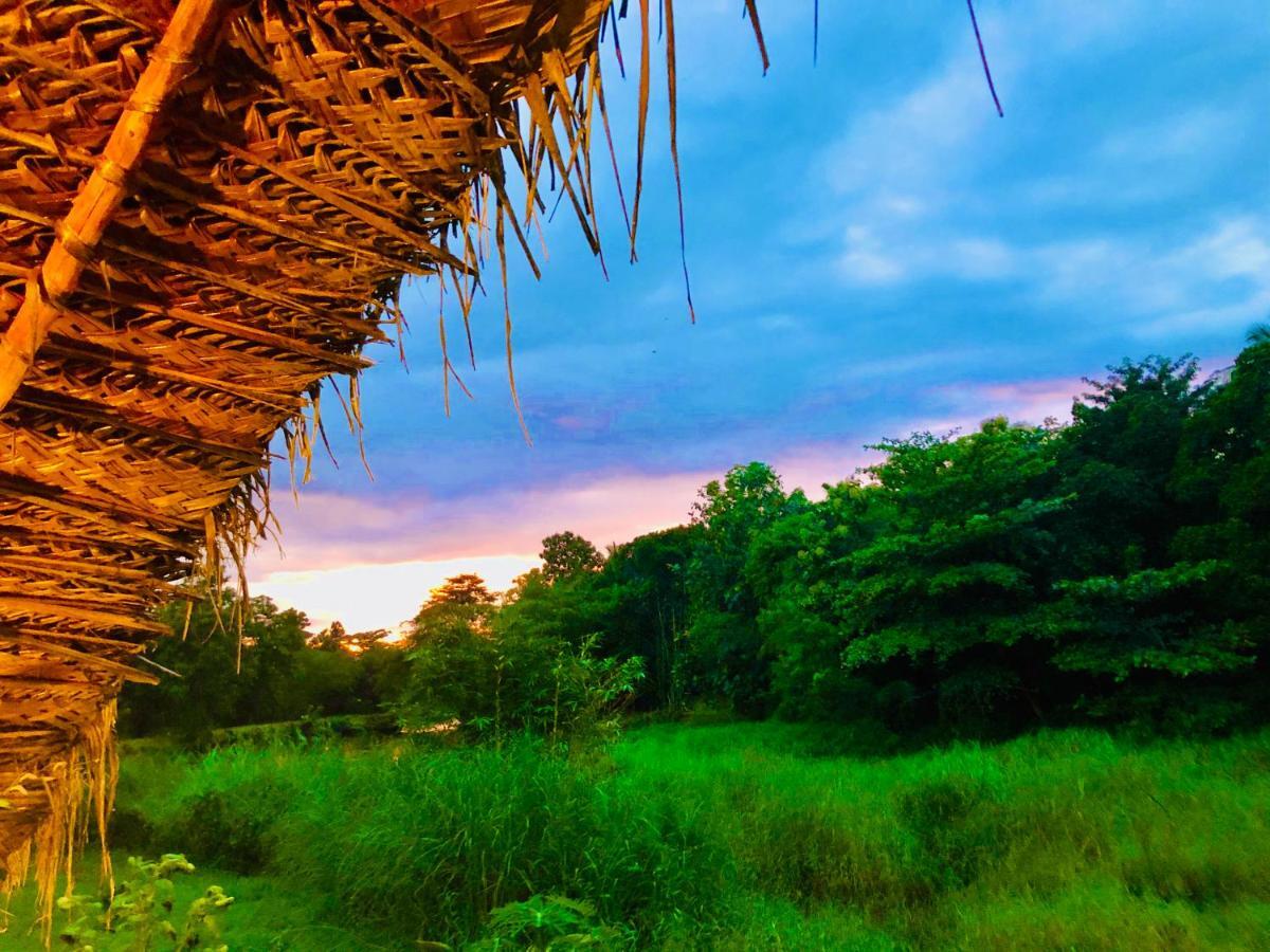 Aliya Riverside & Safari Resort ウダワラウェ エクステリア 写真